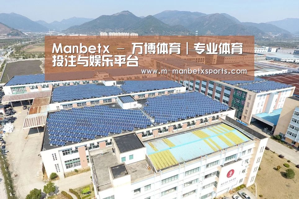案例展示四