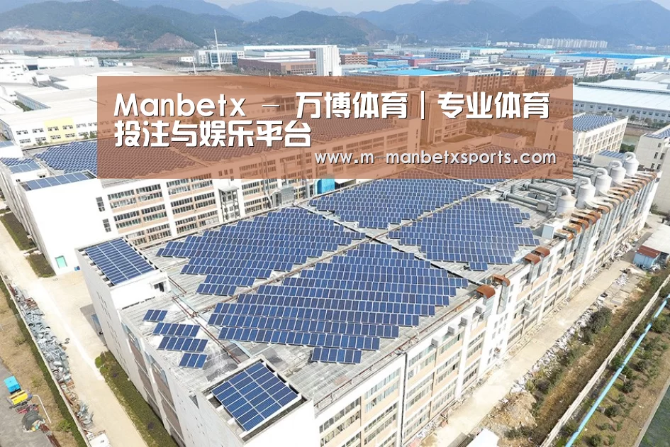 案例展示三