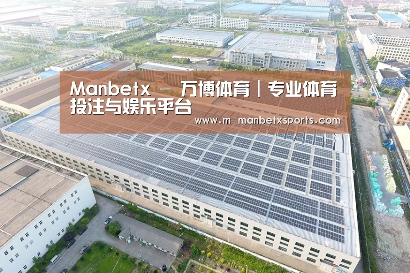 案例展示二