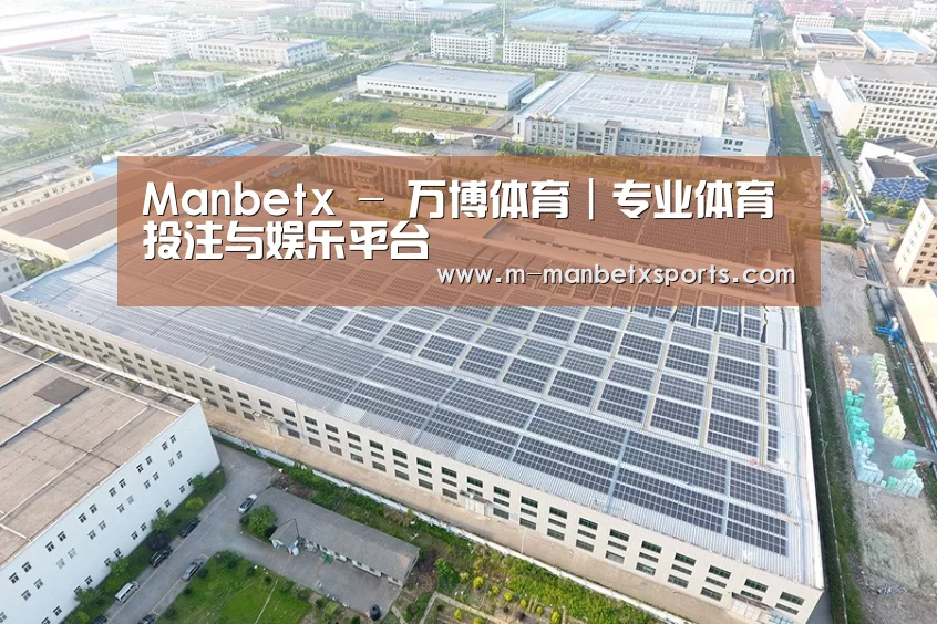 案例展示三