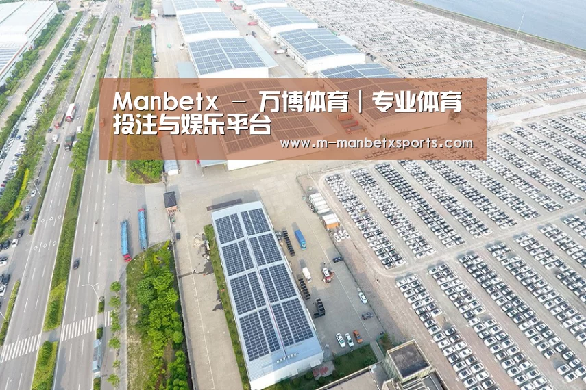 案例展示一