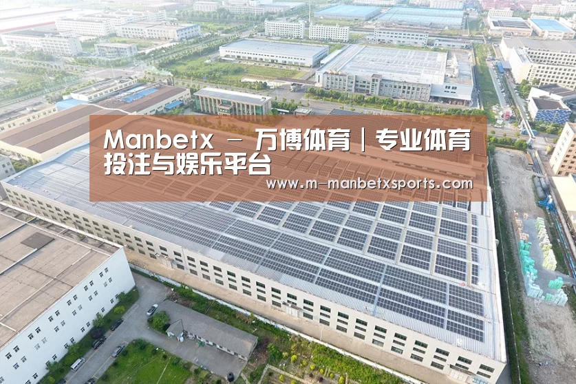 案例展示四