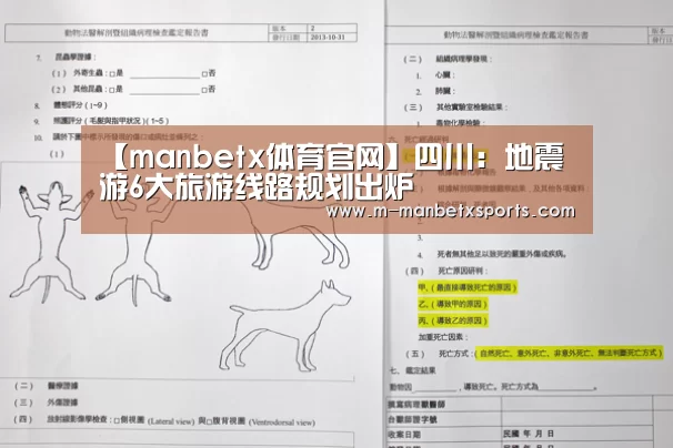 manbetx sports